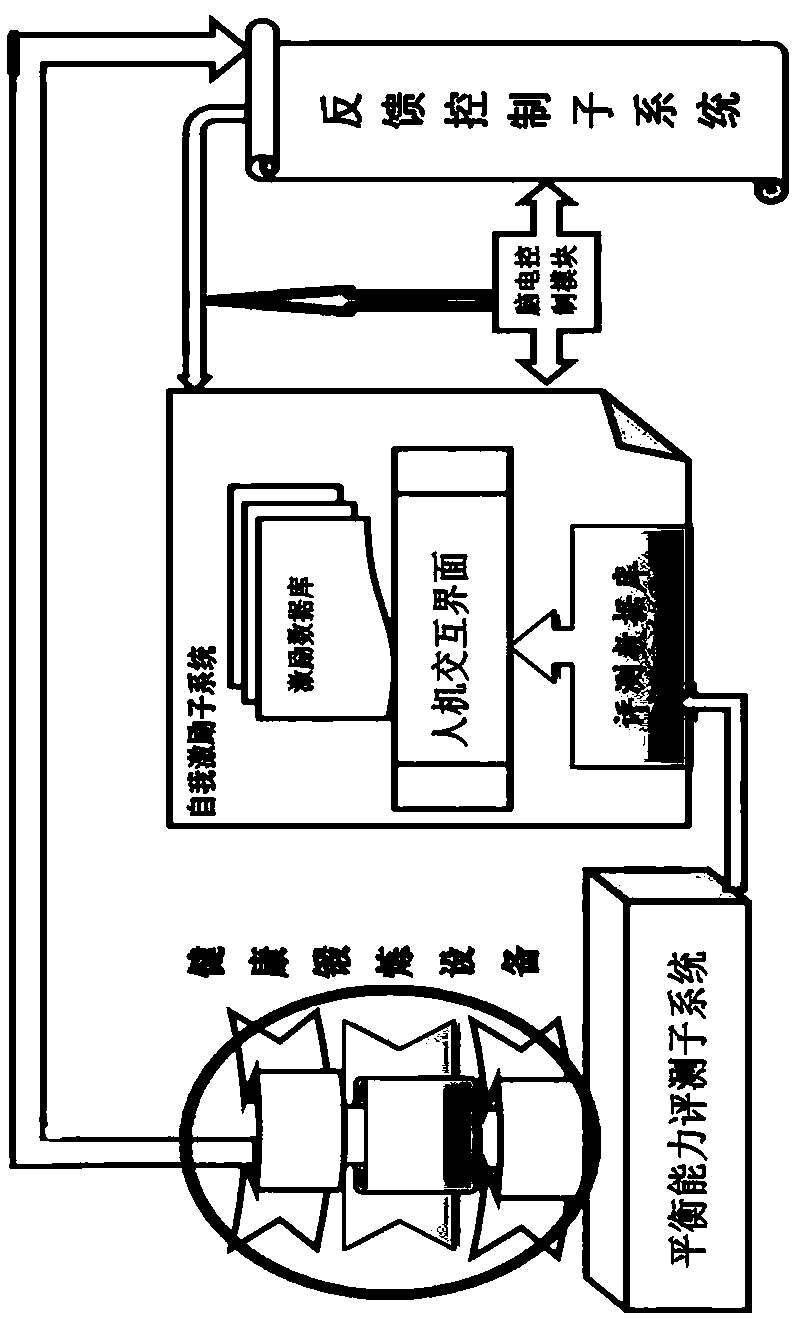 Health cognitive system under self-excitation and feedback control