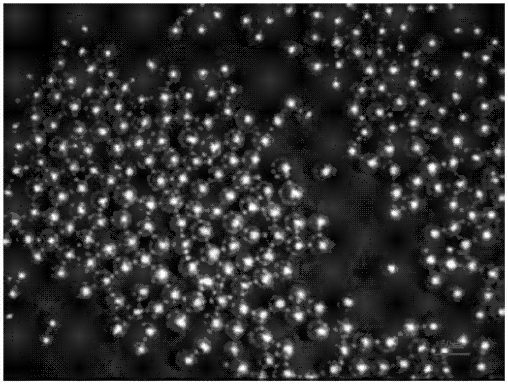 High-coercivity sintered R-T-B permanent magnet material and manufacturing method therefor