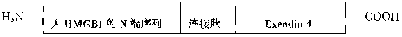 Thrombin activity based chimeric peptide with double targeting effects and application thereof