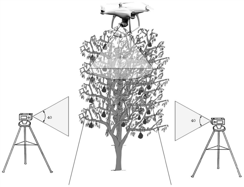 Fruit detection and yield estimation method and system based on machine vision