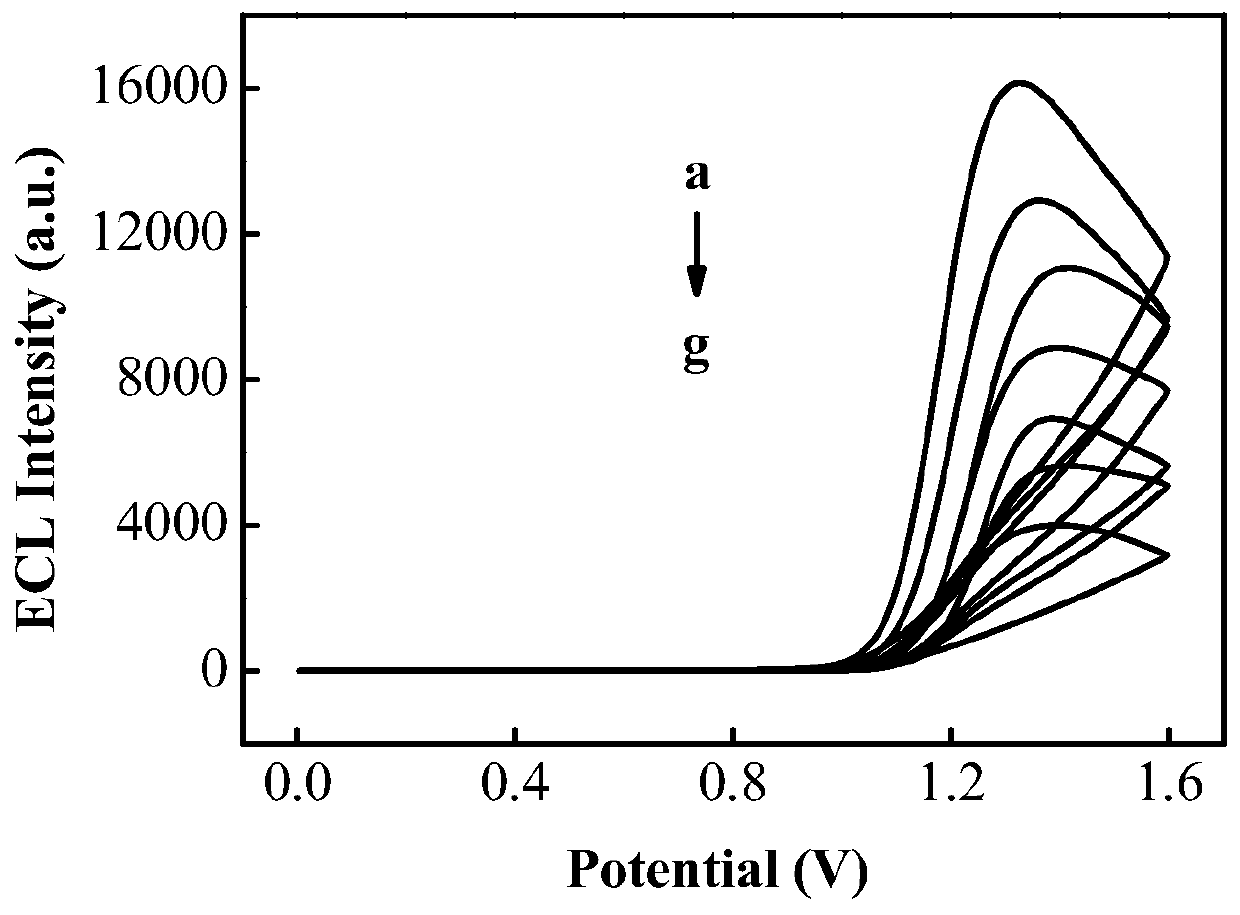 Electrochemiluminescence for detecting bisphenol A