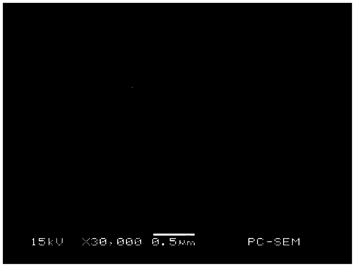 Electrochemiluminescence for detecting bisphenol A