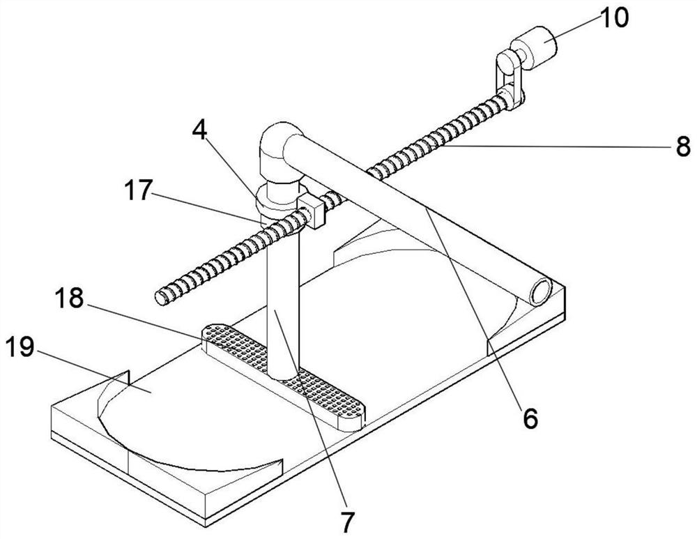 Water purification device for organic culture of mandarin fish