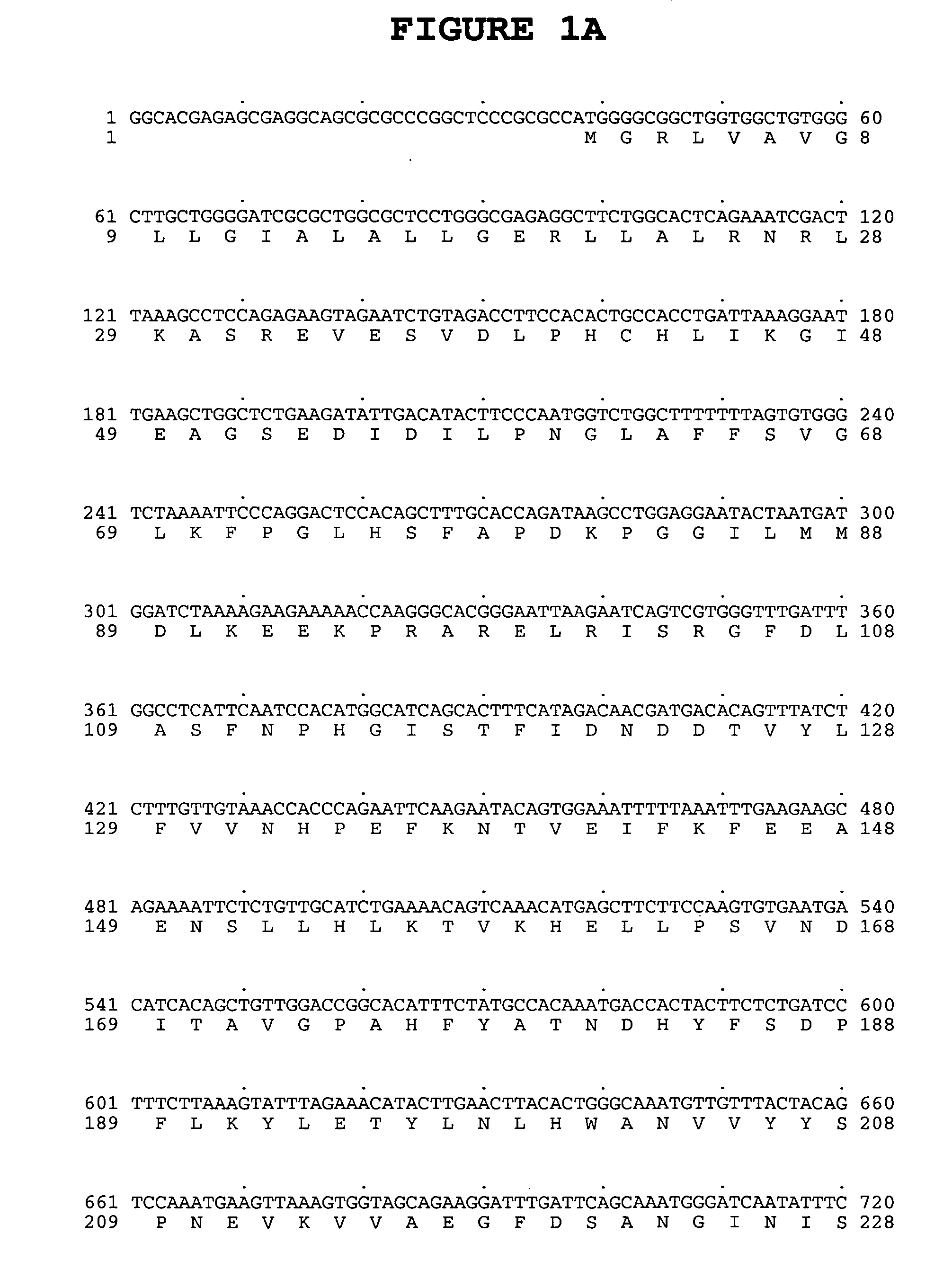 Serum Paraoxonase