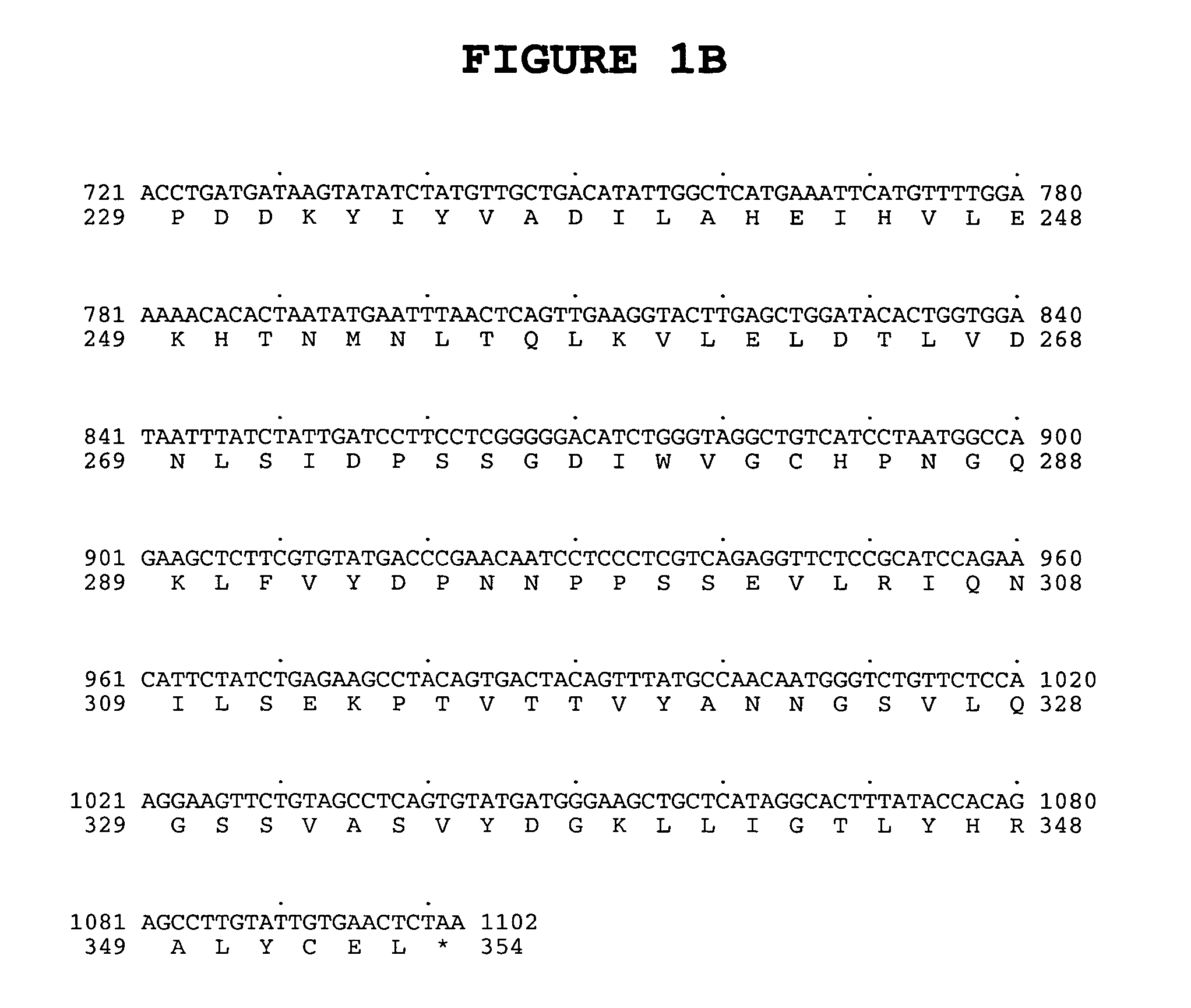 Serum Paraoxonase