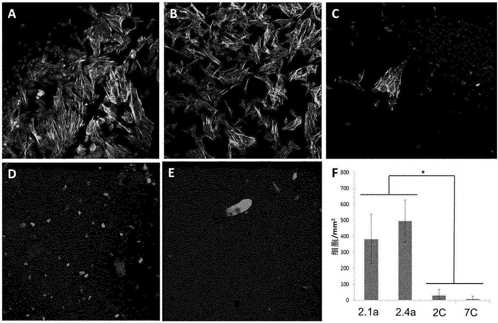 Polymer-drug conjugate based on a polyisoolefin-based copolymer