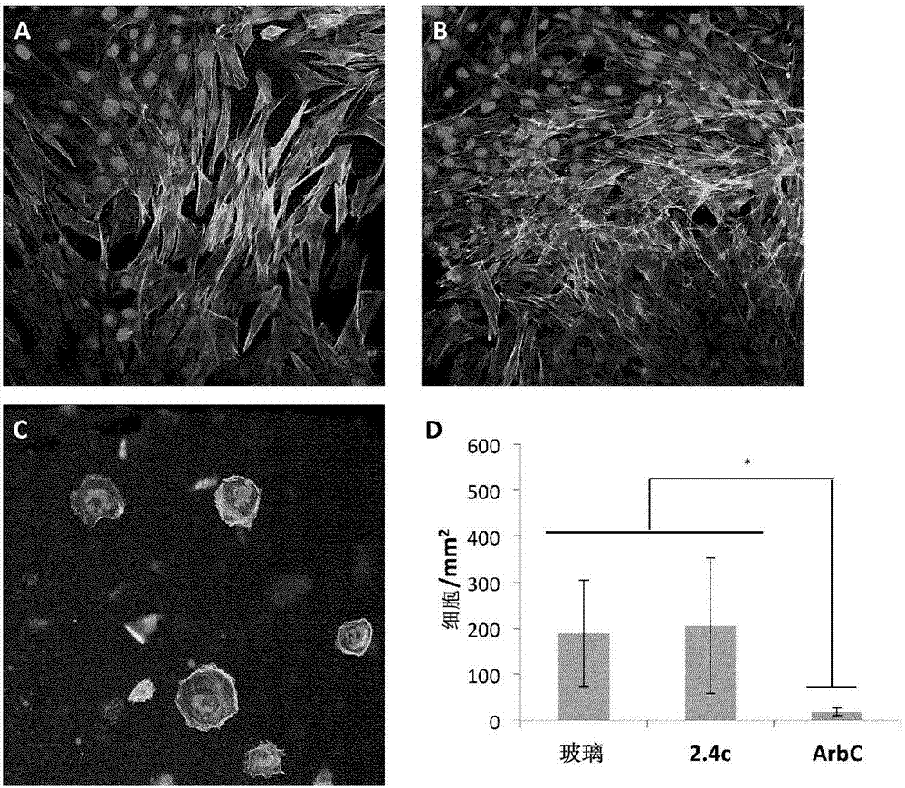 Polymer-drug conjugate based on a polyisoolefin-based copolymer