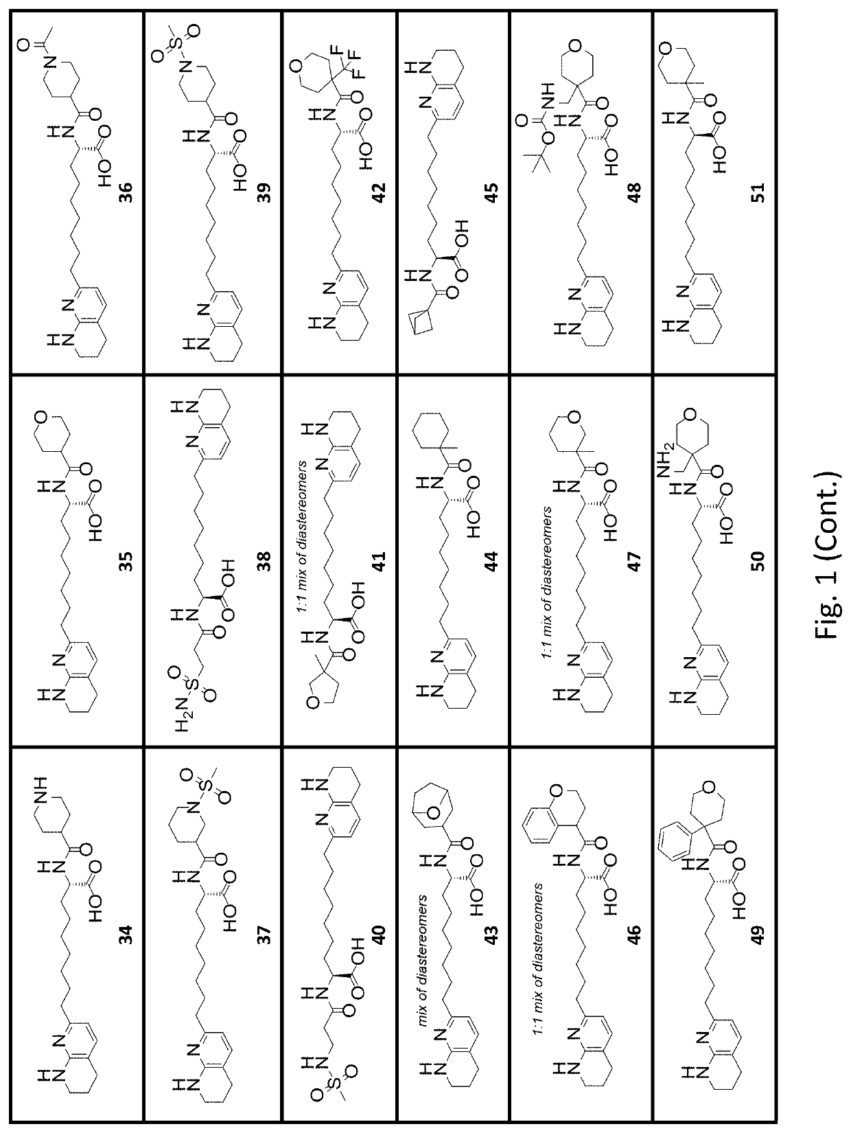 Amino acid compounds with unbranched linkers and methods of use