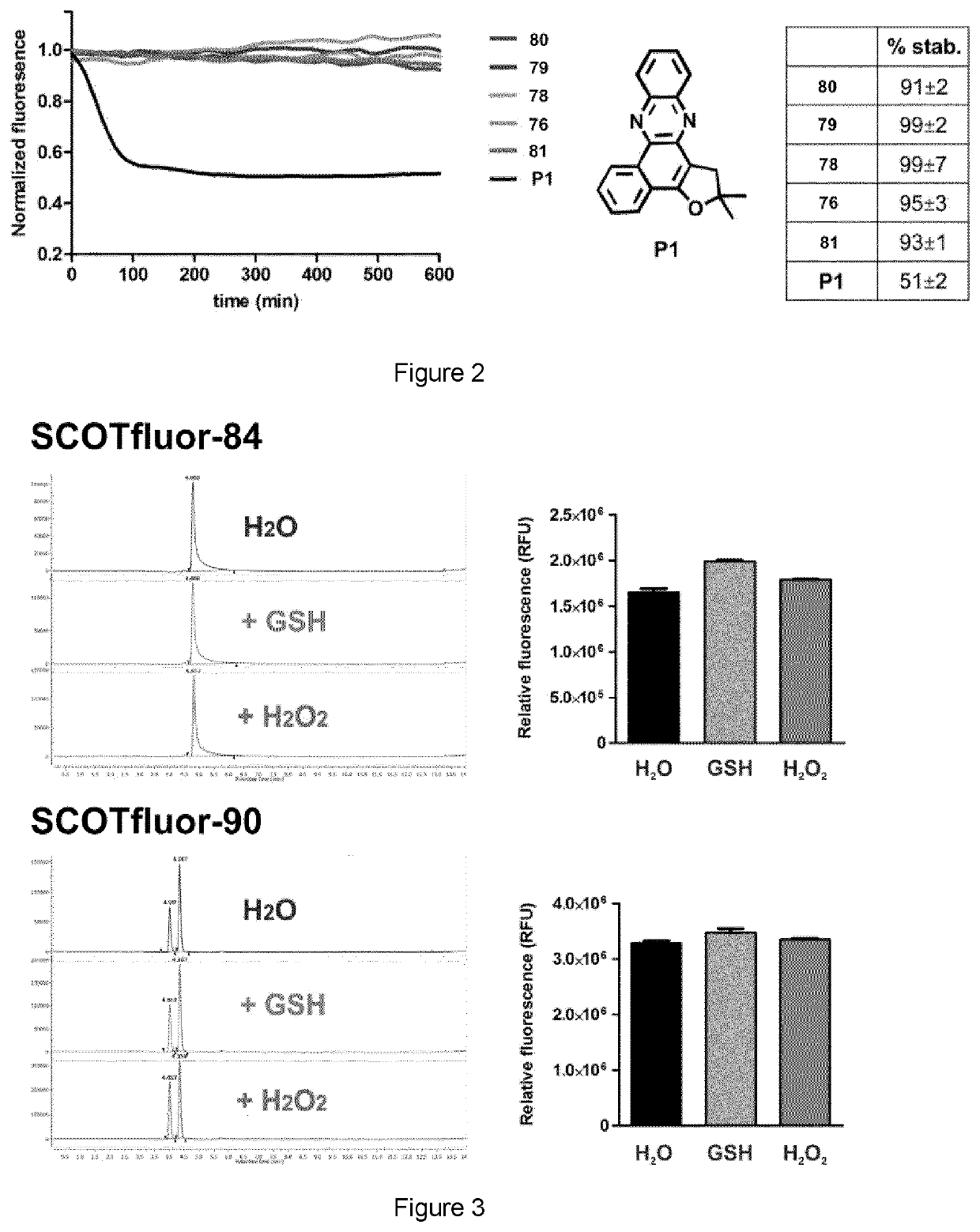 Small tunable fluorophores for the detection and imaging of biomolecules