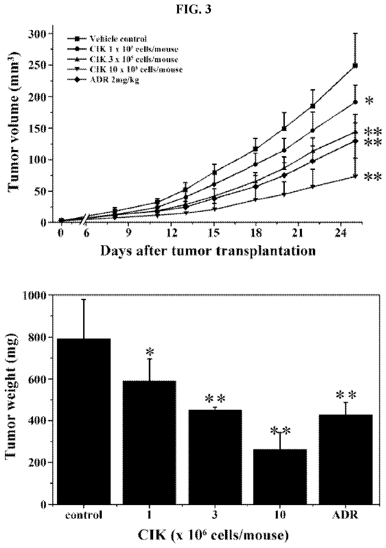 Activated lymphocytes comprising cytokine-induced killer cells and preparation method therefor