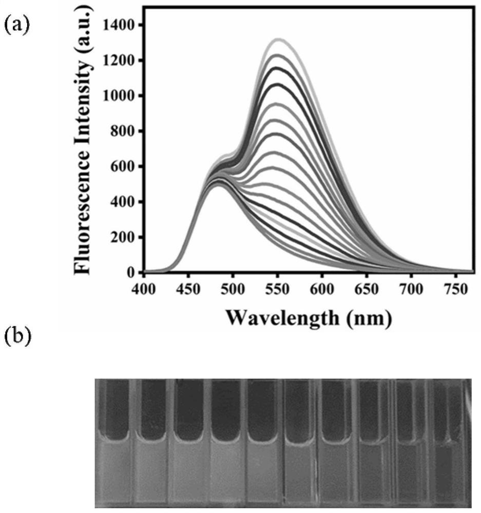 Ratio type copper ion fluorescence sensing system, double-tube detection bottle and application of double-tube detection bottle