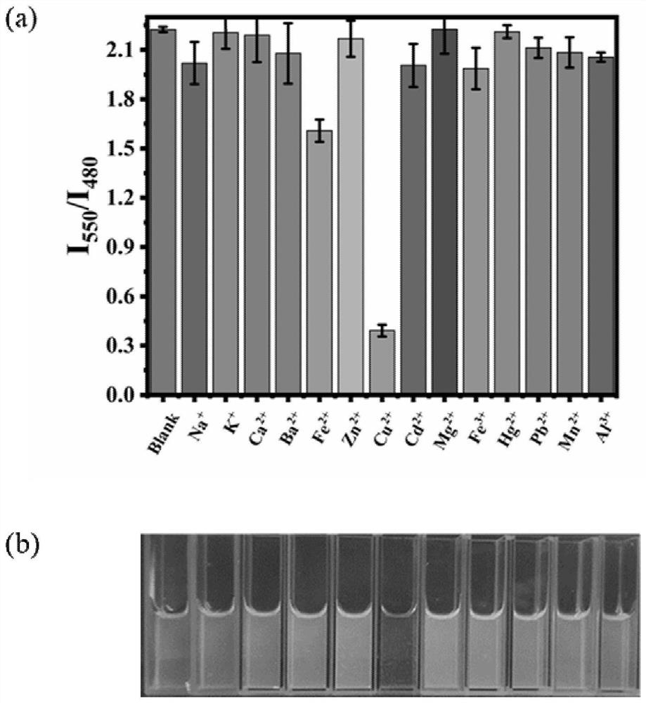 Ratio type copper ion fluorescence sensing system, double-tube detection bottle and application of double-tube detection bottle