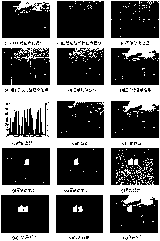 Digital image tamper detection method based on adaptive feature points