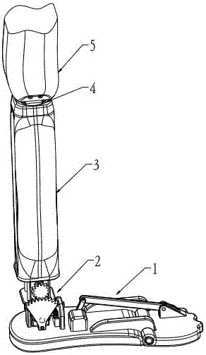 Multi-joint leg structure of biped walking robot