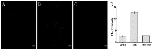 Fluorescent probe for detecting superoxide anion free radicals in peroxisome and application of fluorescent probe