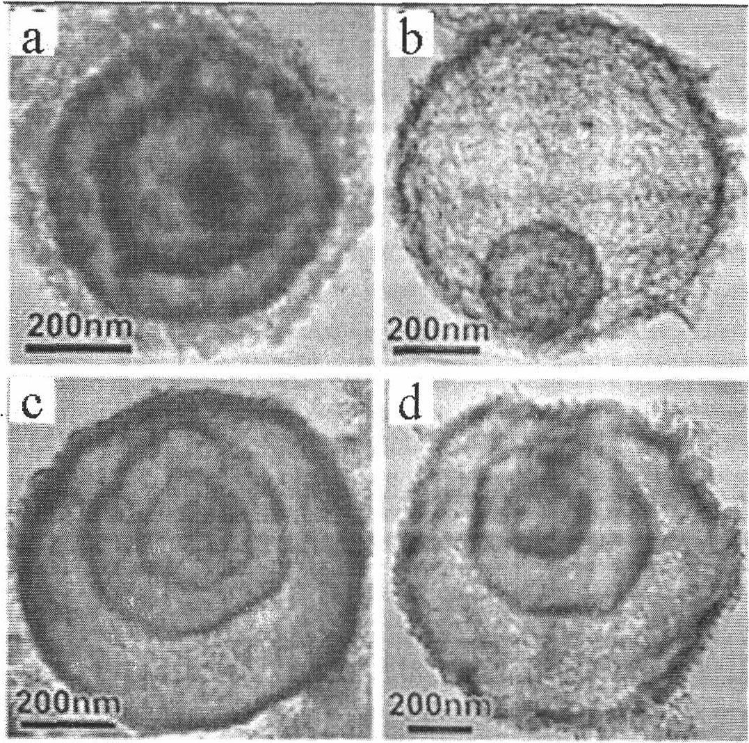 Multi-shell-layer metal oxide hollow ball and preparation method thereof