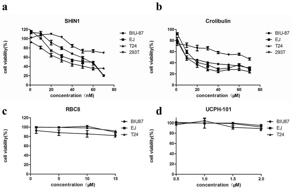 Application of SHMT2 inhibitor in preparation of drugs for inhibiting growth and metastasis of bladder cancer cells