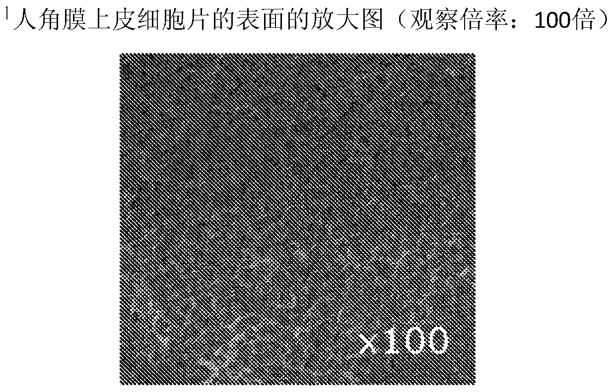 Production method of human corneal epithelial sheet