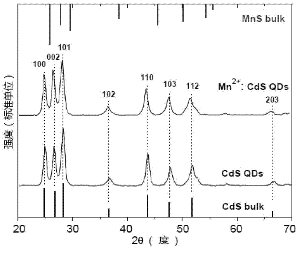 Method for synthesizing water phase of Mn&lt;2+&gt; doped CdS fluorescent quantum dots by stable acetopyruvic acid