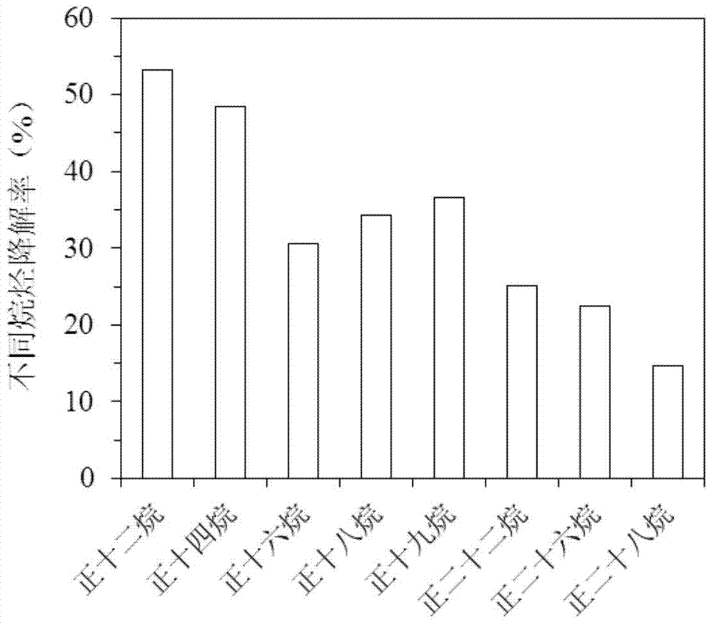 Low temperature-resistant petroleum-degrading bacillus sp. strain, culture method and application thereof