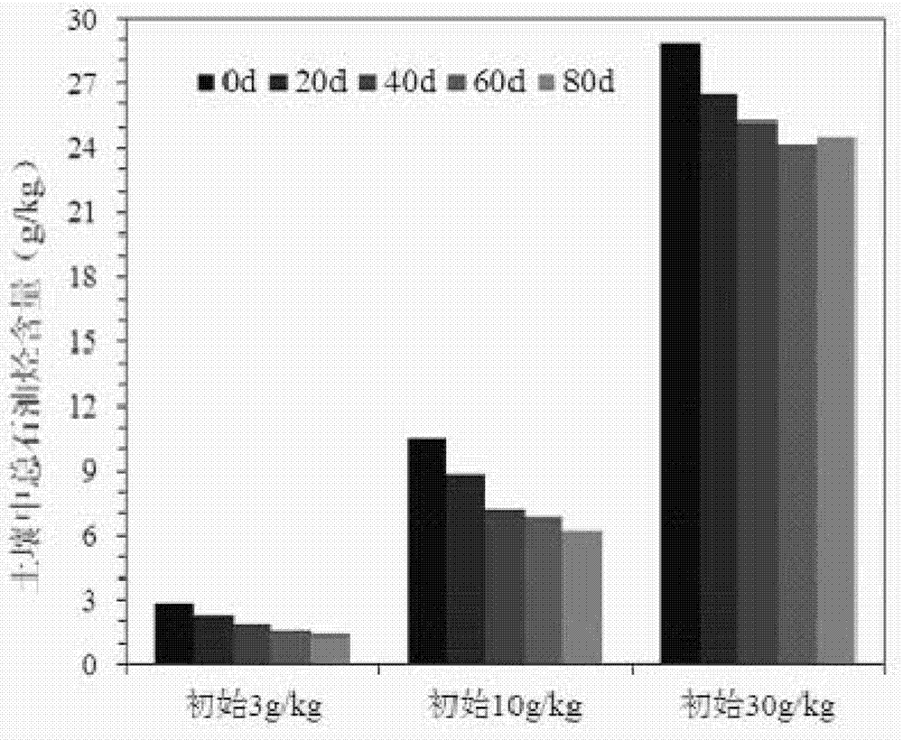 Low temperature-resistant petroleum-degrading bacillus sp. strain, culture method and application thereof