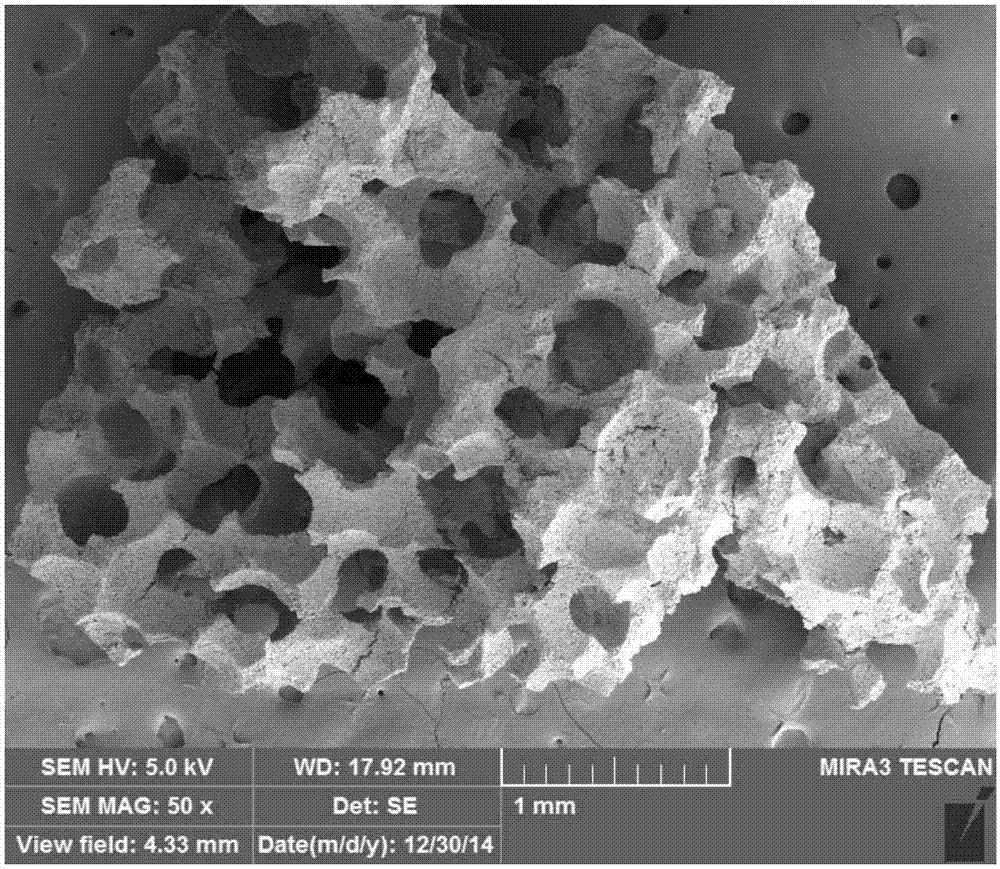 Porous biological ceramic scaffold and preparation method thereof