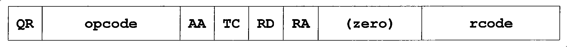 Method and apparatus for preventing DNS request message from flooding attack