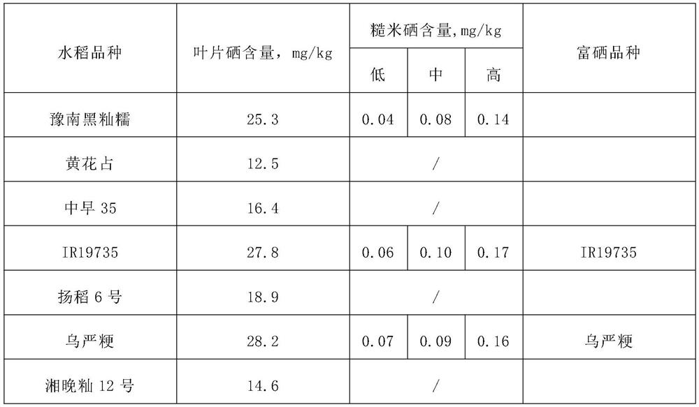 A screening method for selenium-enriched rice varieties