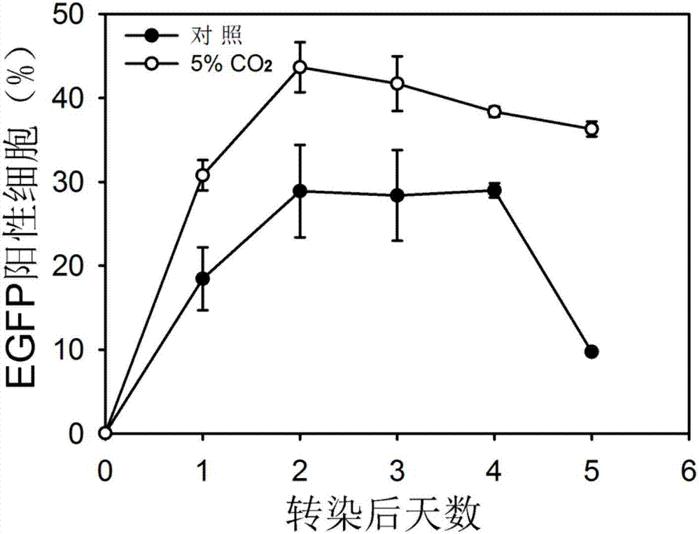 Method for improving transient transfection of insect cell and stably expressing protein expression quantity