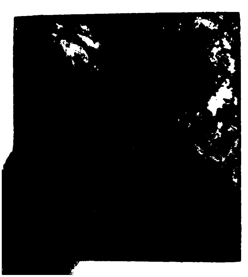 Novel nano-HDDA-EP system IPNS composite coating as well as preparation method and application thereof