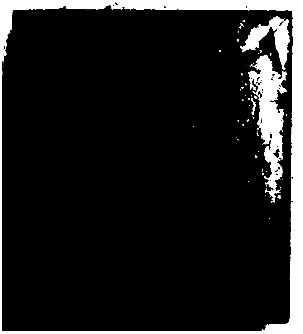 Novel nano-HDDA-EP system IPNS composite coating as well as preparation method and application thereof