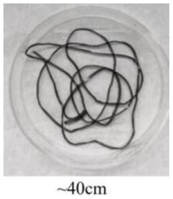 Peripheral nerve injury repairing system