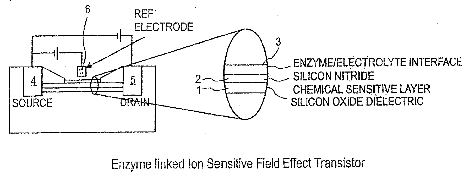 Sensing apparatus and method