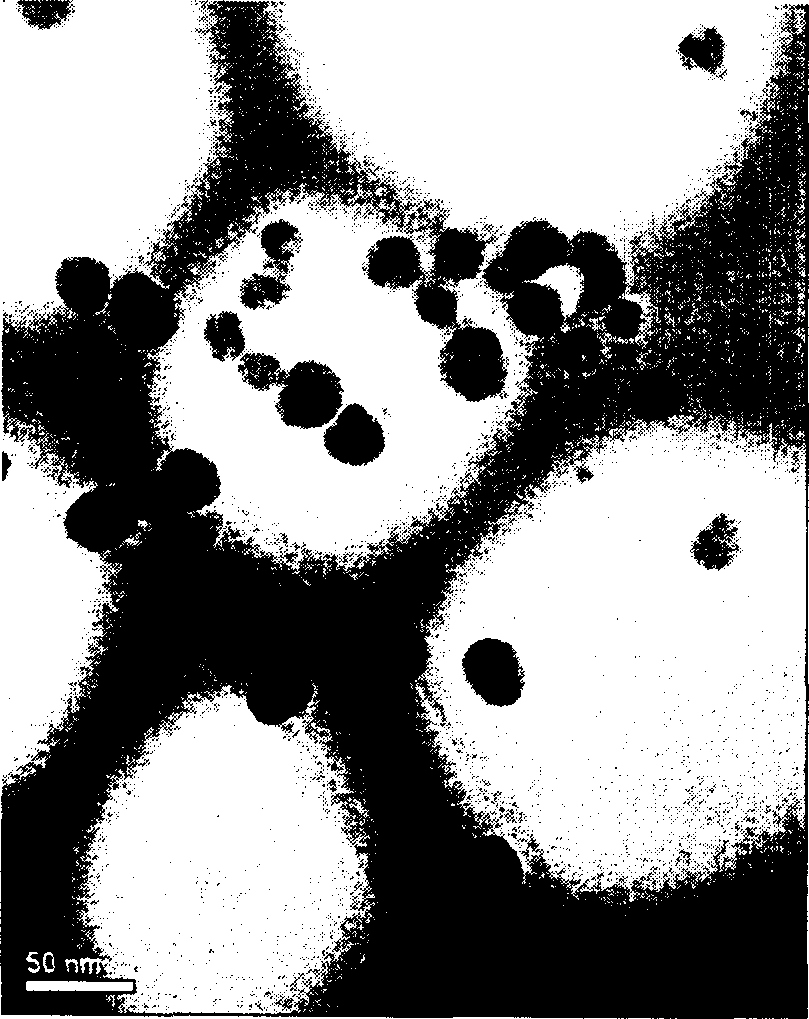 Prepn process of nano silver iodide powder