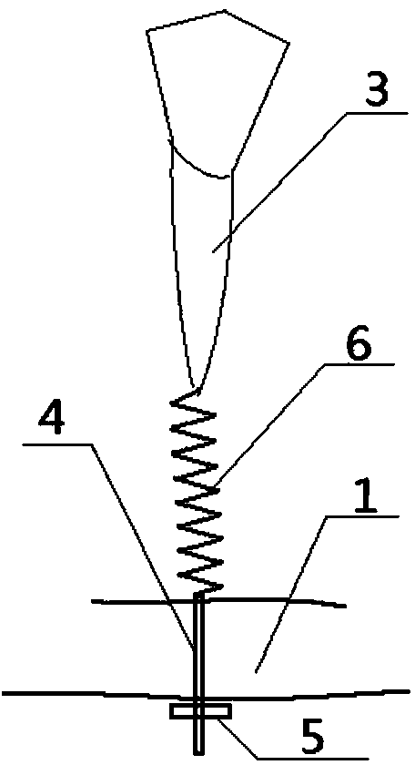 Loose teeth fixed oral cavity teaching model to observe the periodontal trauma