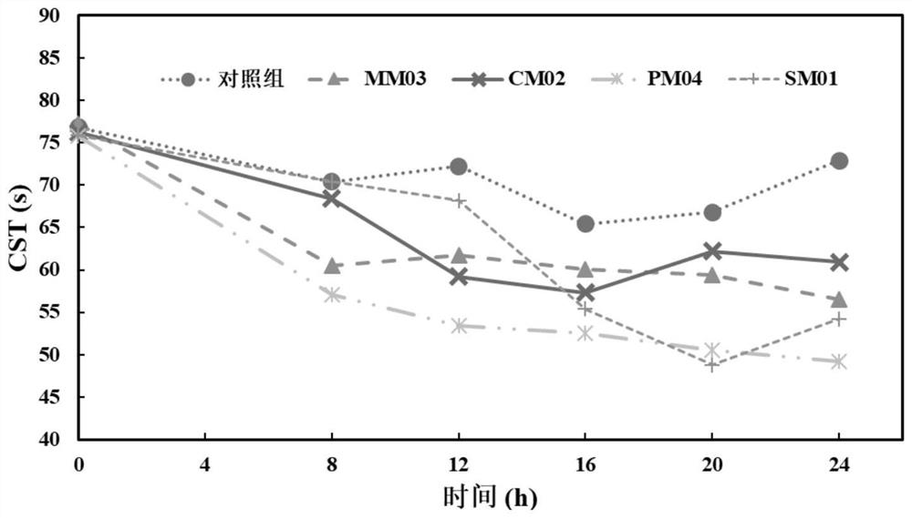 Biolysis sludge phagocytosis method for improving sludge dewatering reduction performance by using myxobacteria