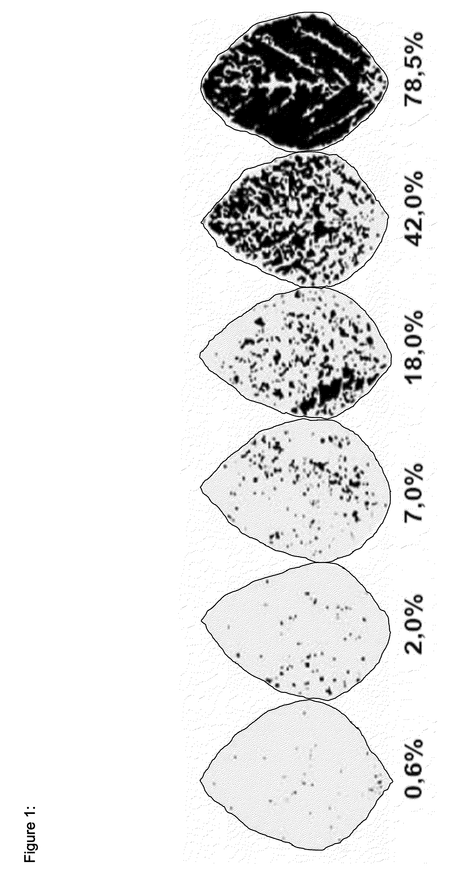 Fungal Resistant Plants Expressing MYBTF