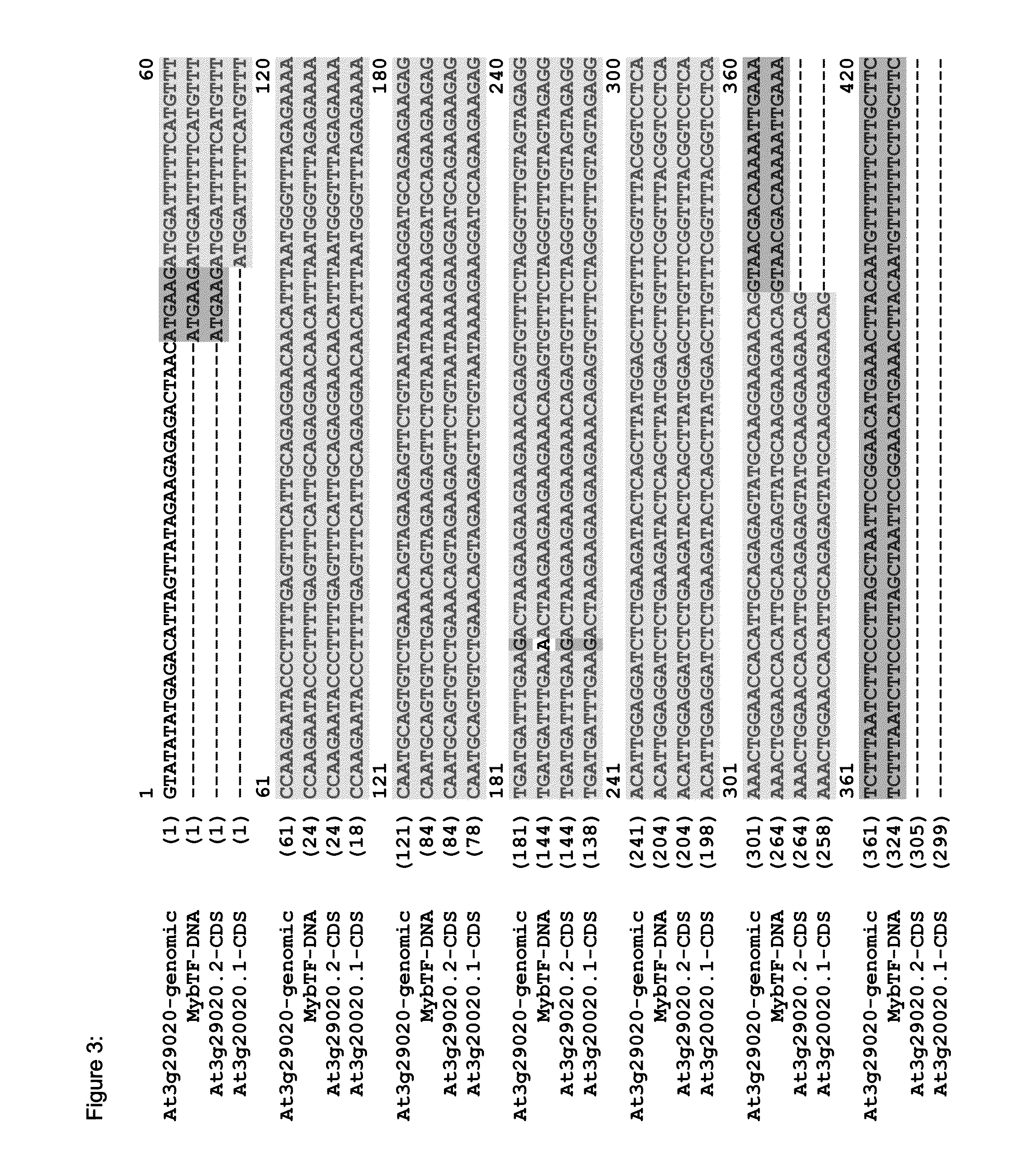 Fungal Resistant Plants Expressing MYBTF