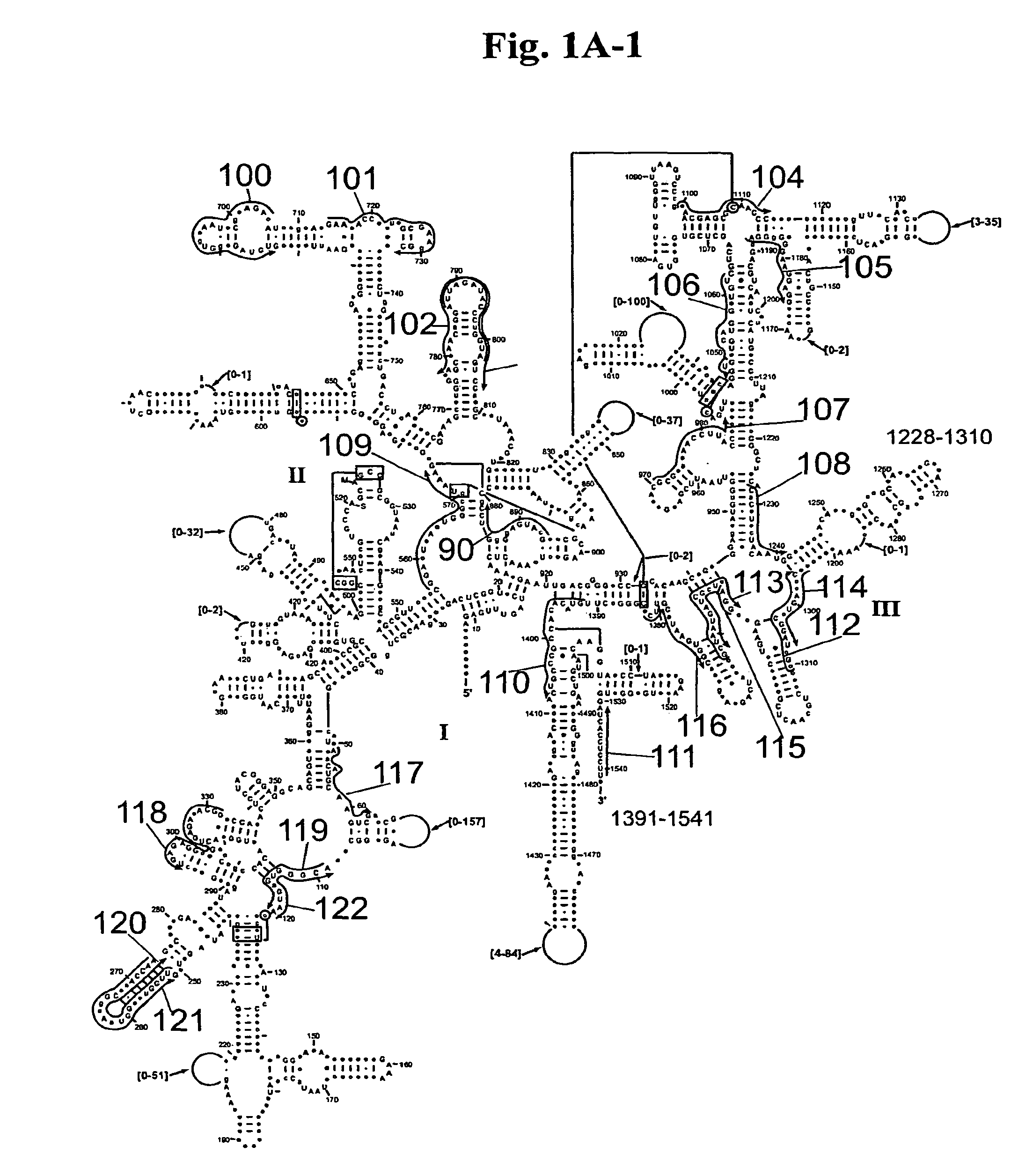 System for indentification of pathogens