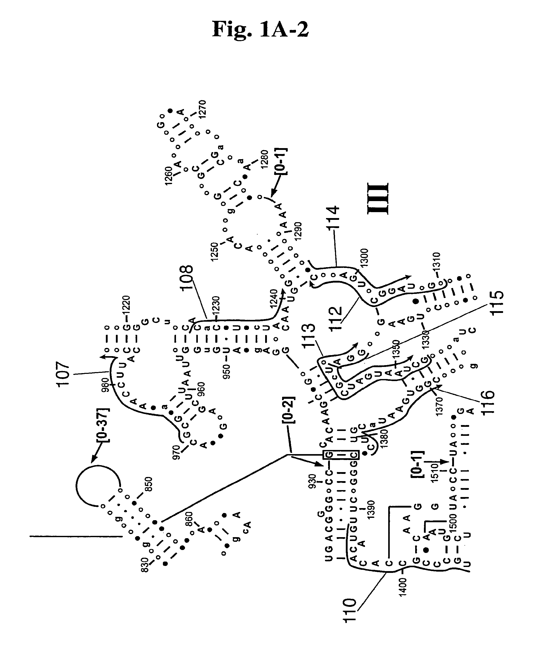 System for indentification of pathogens