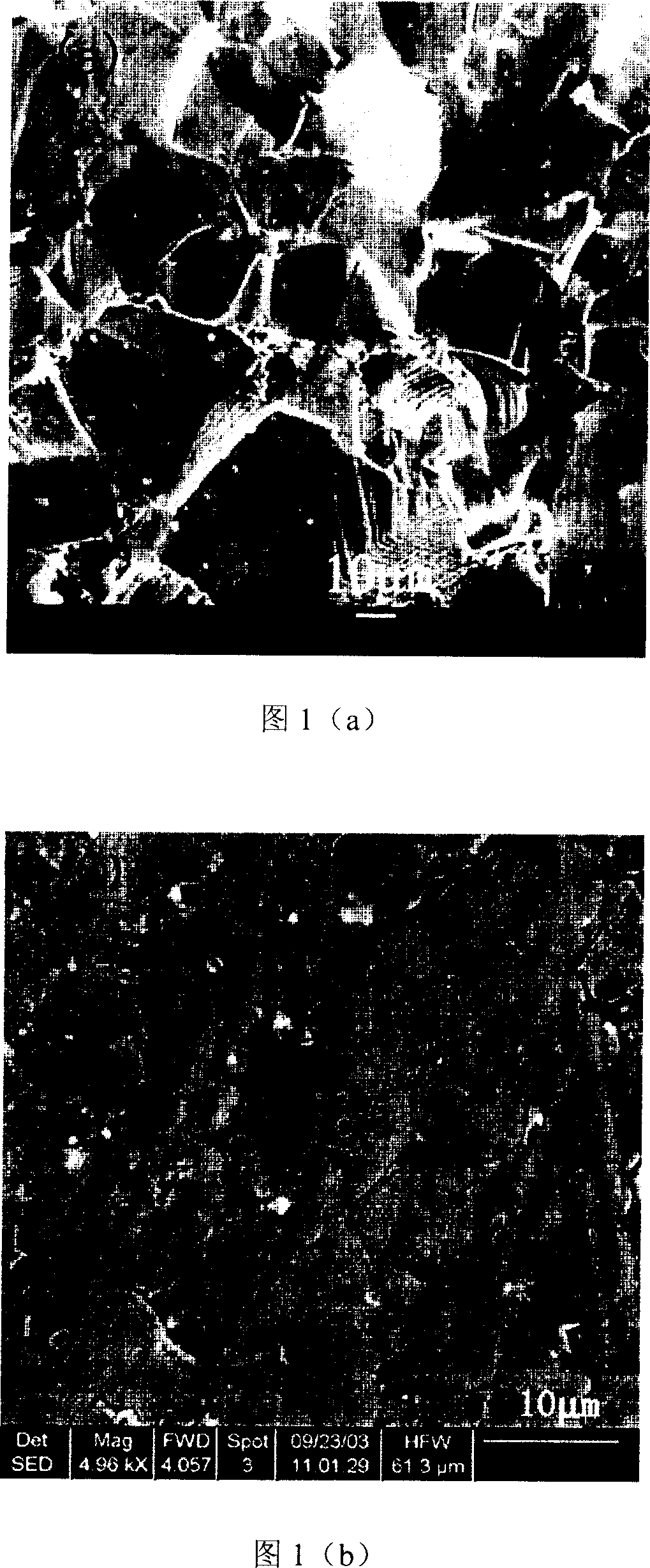 Method for preparing rolling anisotropic magnetic powder and magnet