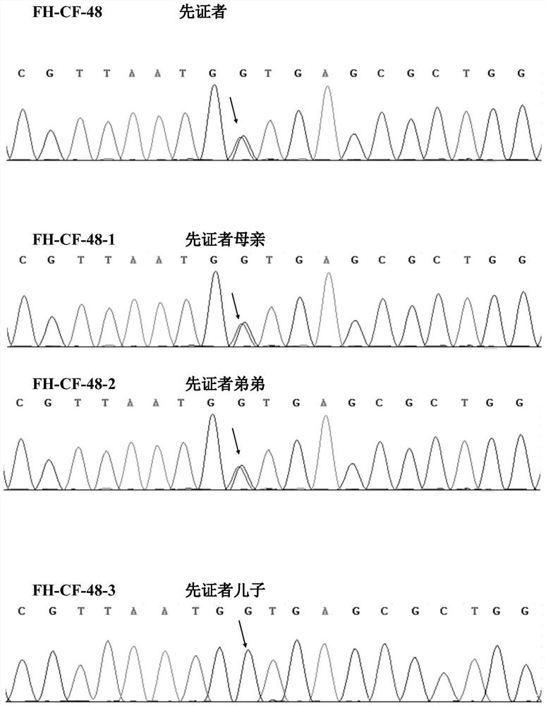 Familial hypercholesterolemia related gene as well as detection kit and application thereof