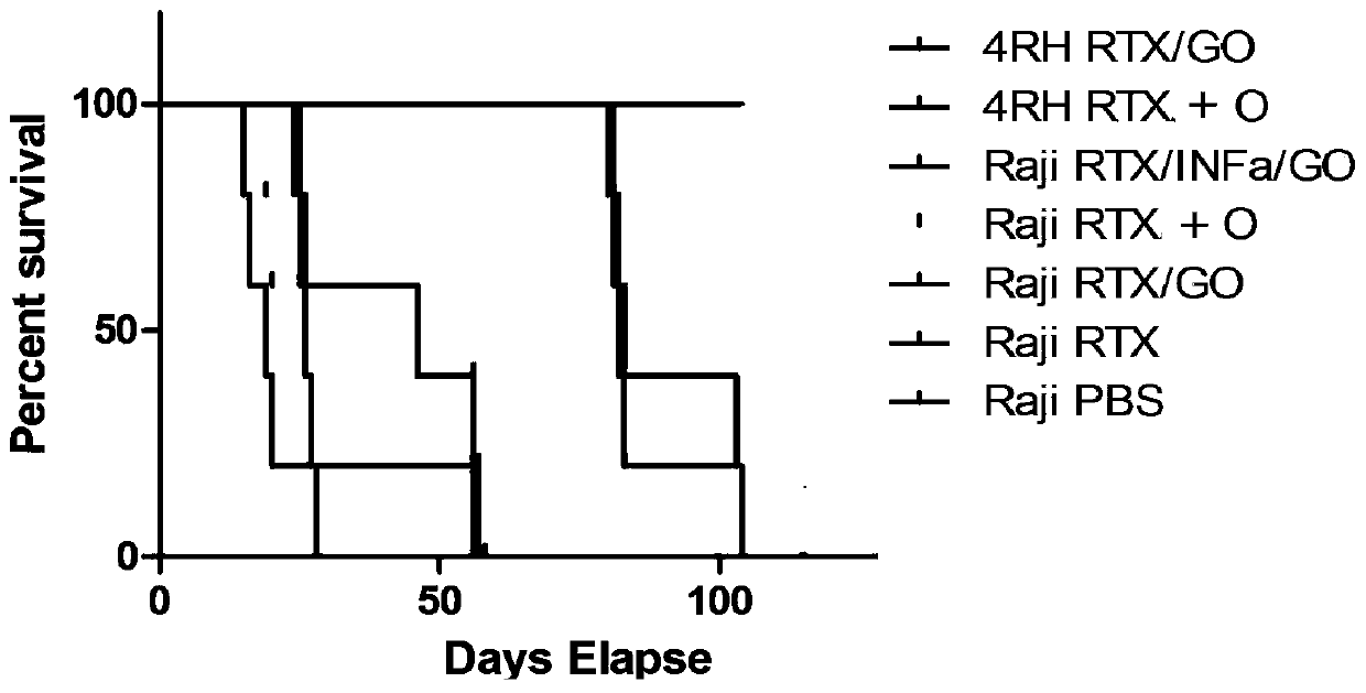 Composite antibody comprising interferon alpha/tumor antibody/graphene oxide, preparation method and application