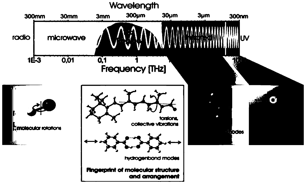 Early-stage cancer detection method based on terahertz attenuated total reflection mode