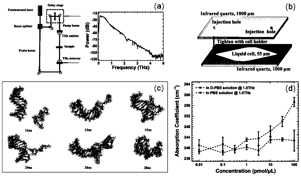 Early-stage cancer detection method based on terahertz attenuated total reflection mode