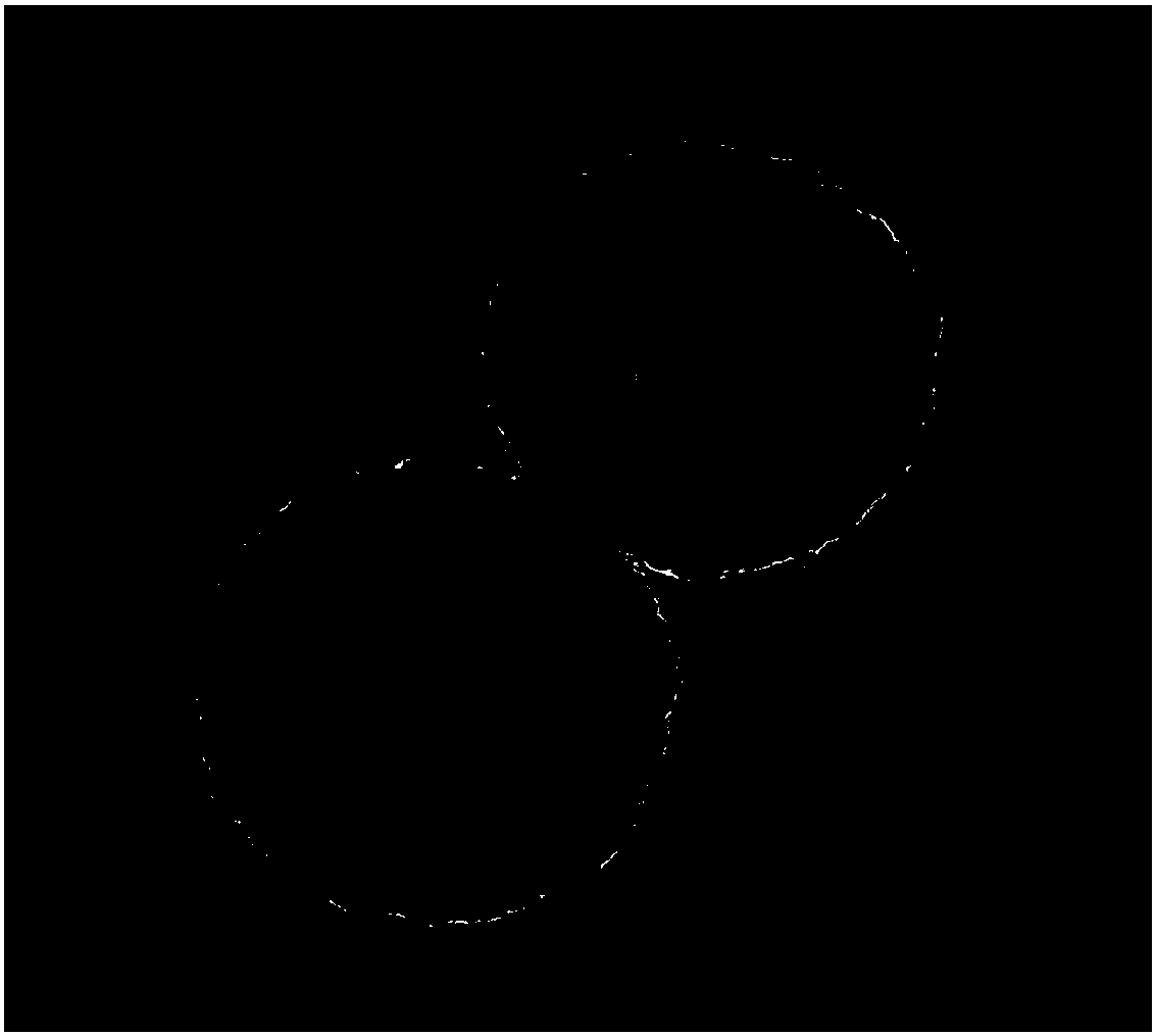 Preparation method of titanium dioxide/nickel oxide double-shell hollow sphere