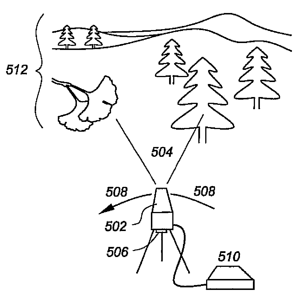 Perspective altering display system