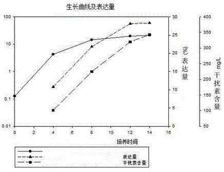 Fermentation medium and fermentation method for preparing recombinant human interferon alpha2b