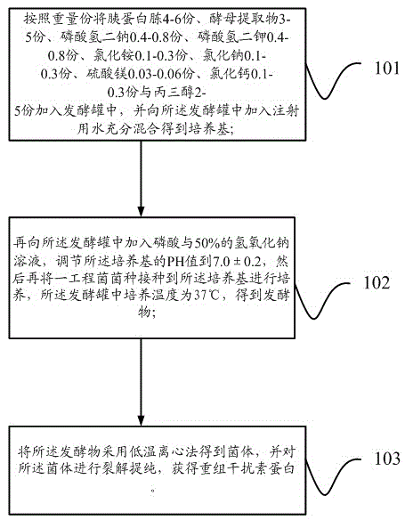 Fermentation medium and fermentation method for preparing recombinant human interferon alpha2b