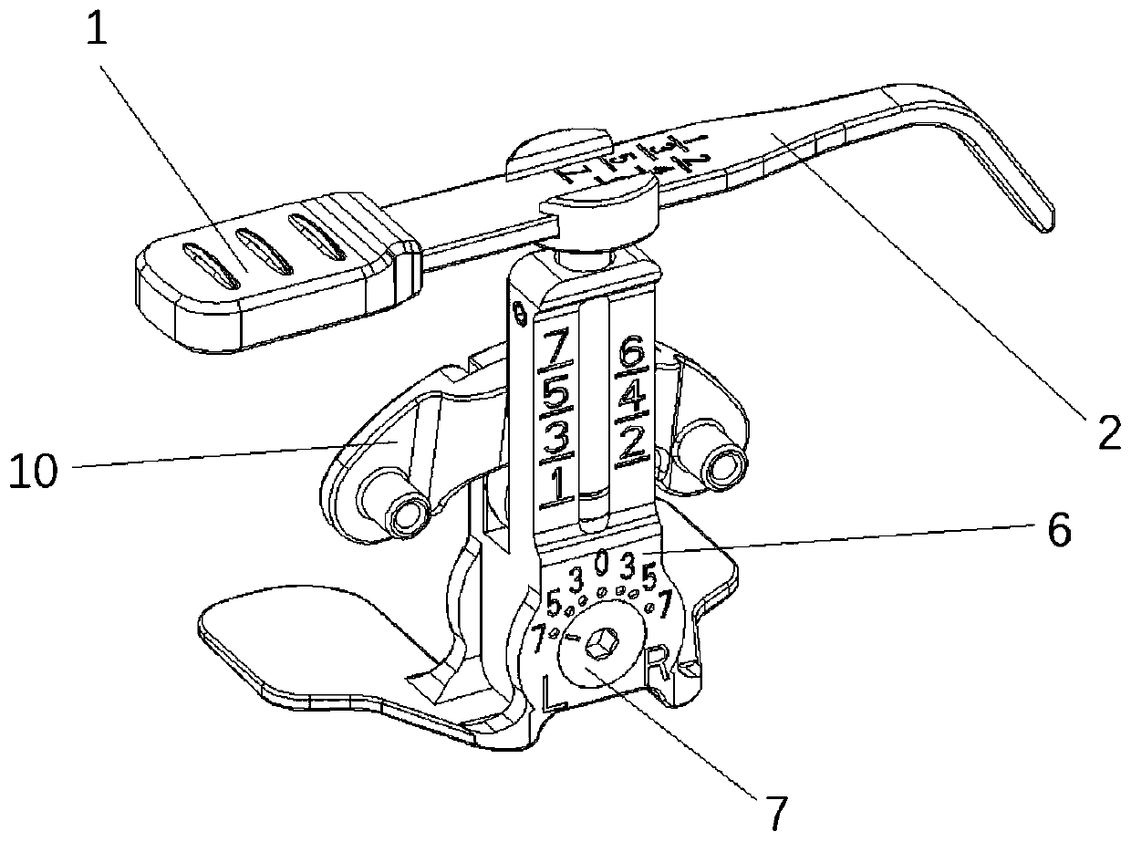 Femur measuring device